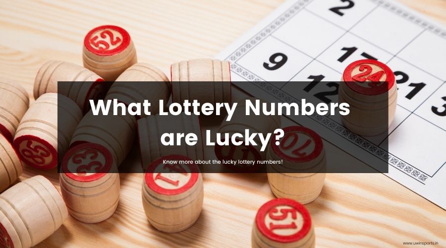 What Lottery Numbers Are Lucky Online Lottery In India What Lottery Numbers Are Lucky Online Lottery In India
